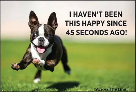 Magnet: I haven't been this happy since 45 seconds ago.