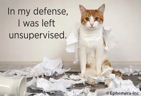 Magnet: In my defense, I was left unsupervised.