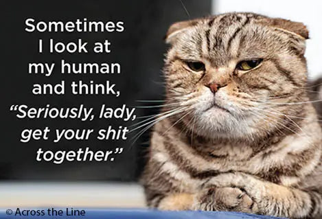 Magnet: Sometimes I look at my human and think, "Seriously, lady, get your shit together."