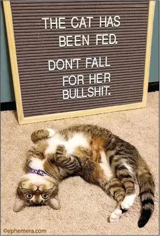 Magnet: The cat has been fed. Don't fall for her bullshit.